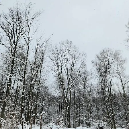 Gočár Eliška Kamenicky Senov