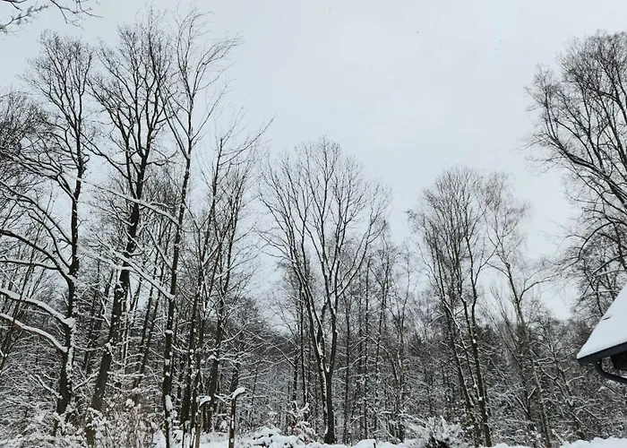 Gočár Eliška Kamenicky Senov